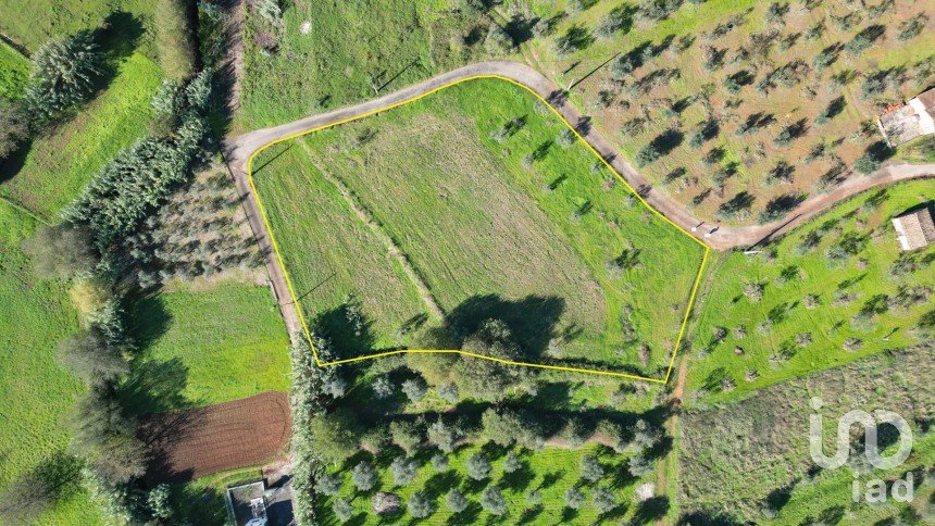 Terreno Agrícola em Podentes de 3 596 m²