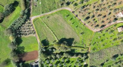 Terreno Agrícola em Podentes de 3 596 m²