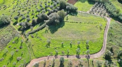 Terreno Agrícola em Podentes de 3 596 m²