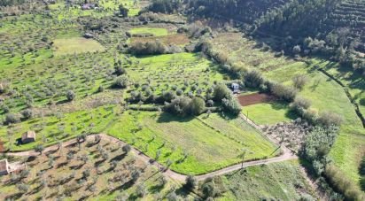 Terreno Agrícola em Podentes de 3 596 m²