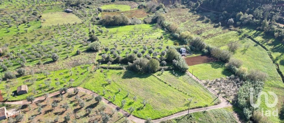 Terreno Agrícola em Podentes de 3 596 m²