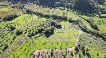 Terreno Agrícola em Podentes de 3 596 m²