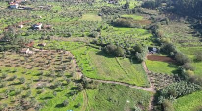 Terreno Agrícola em Podentes de 3 596 m²