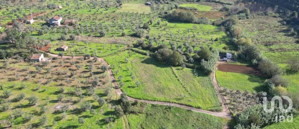 Terreno Agrícola em Podentes de 3 596 m²