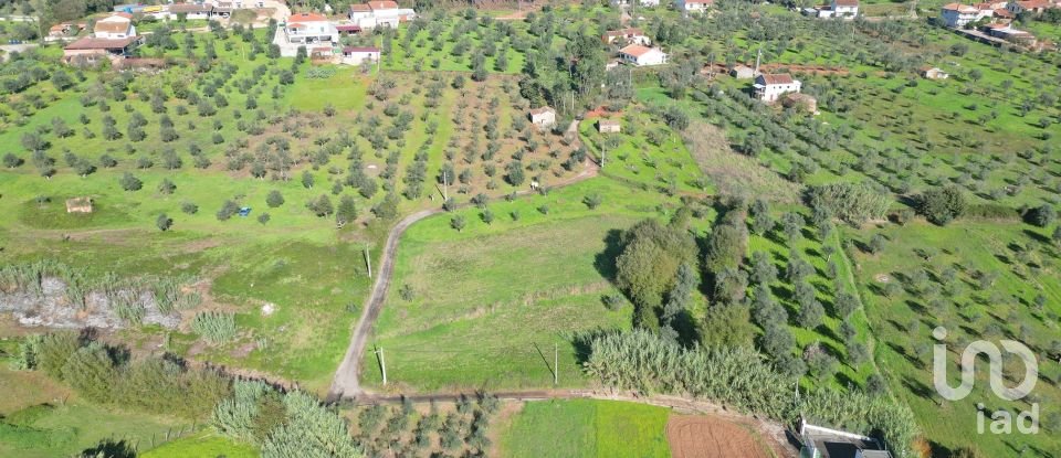 Terreno Agrícola em Podentes de 3 596 m²