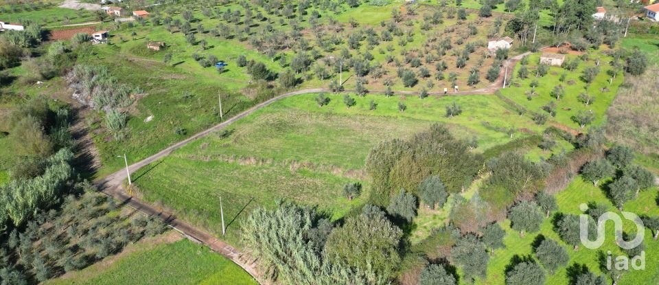 Terreno Agrícola em Podentes de 3 596 m²