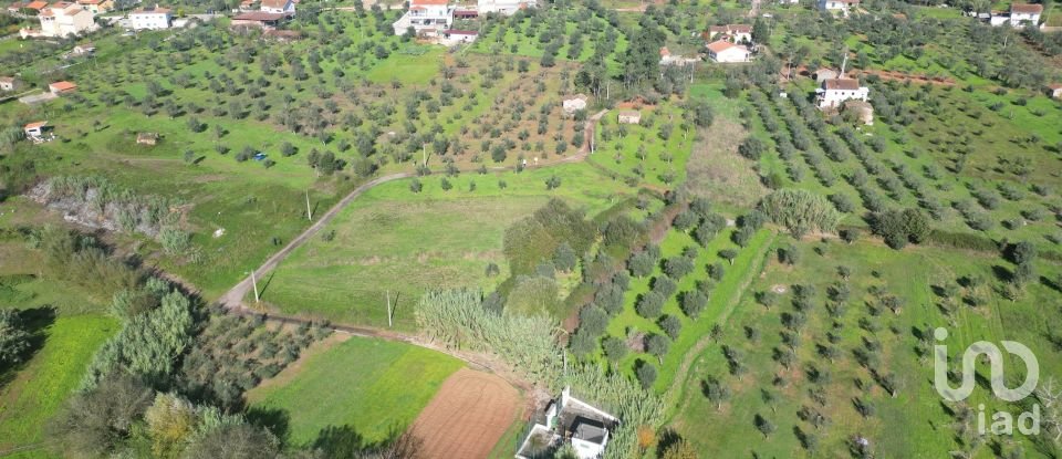 Terreno Agrícola em Podentes de 3 596 m²