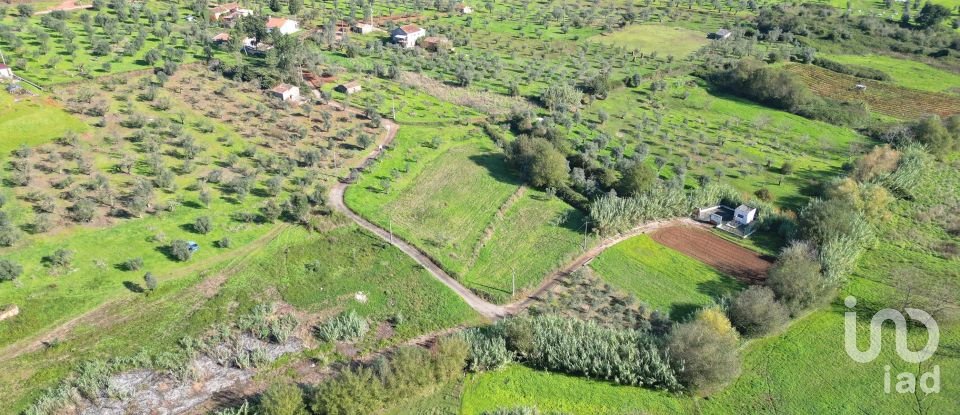 Terreno Agrícola em Podentes de 3 596 m²