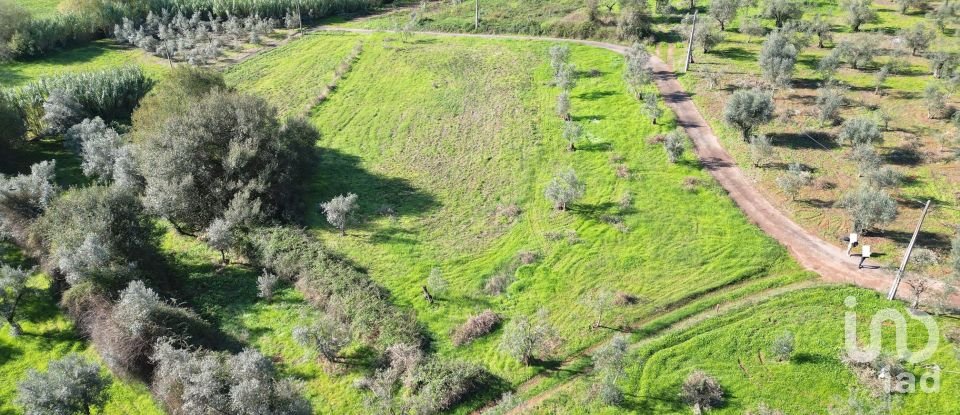 Terreno Agrícola em Podentes de 3 596 m²