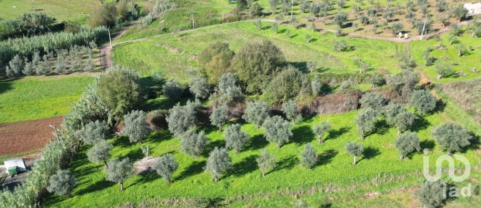 Terreno Agrícola em Podentes de 3 596 m²