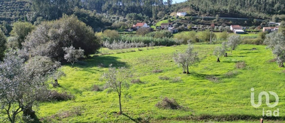 Terreno Agrícola em Podentes de 3 596 m²