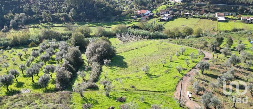 Terreno Agrícola em Podentes de 3 596 m²