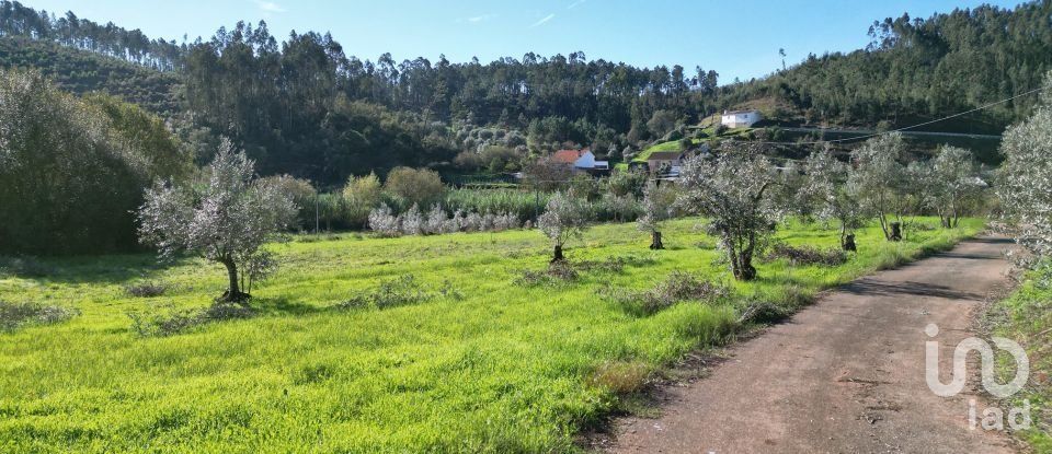 Terreno Agrícola em Podentes de 3 596 m²