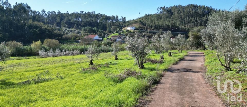 Terreno Agrícola em Podentes de 3 596 m²