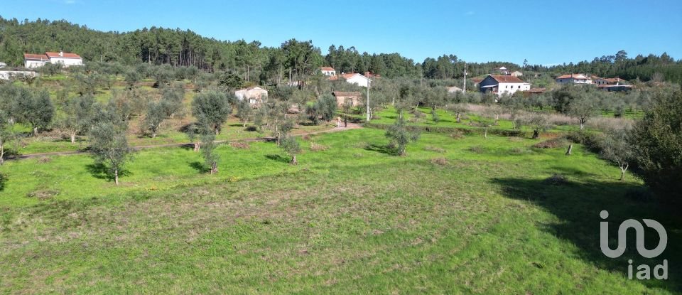 Terreno Agrícola em Podentes de 3 596 m²