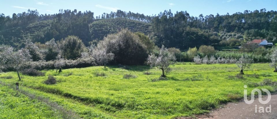 Terreno Agrícola em Podentes de 3 596 m²