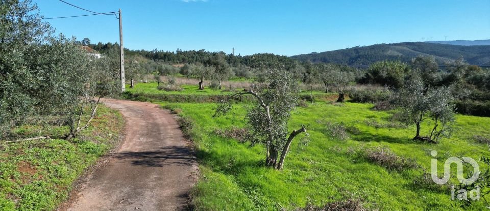 Terreno Agrícola em Podentes de 3 596 m²