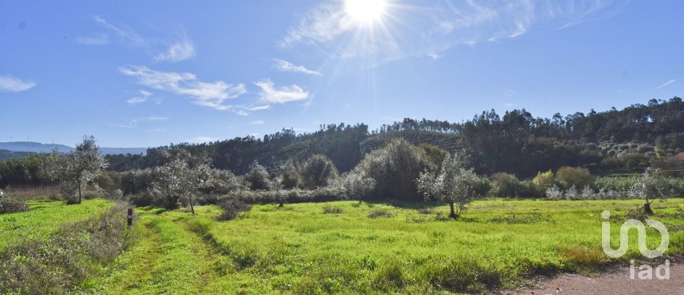 Terreno Agrícola em Podentes de 3 596 m²