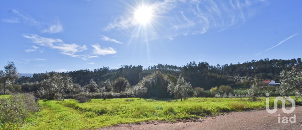 Terreno Agrícola em Podentes de 3 596 m²