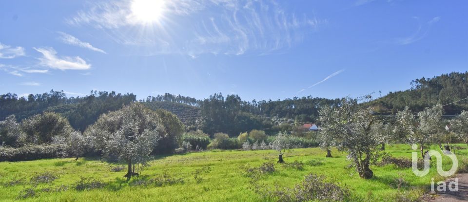 Terreno Agrícola em Podentes de 3 596 m²