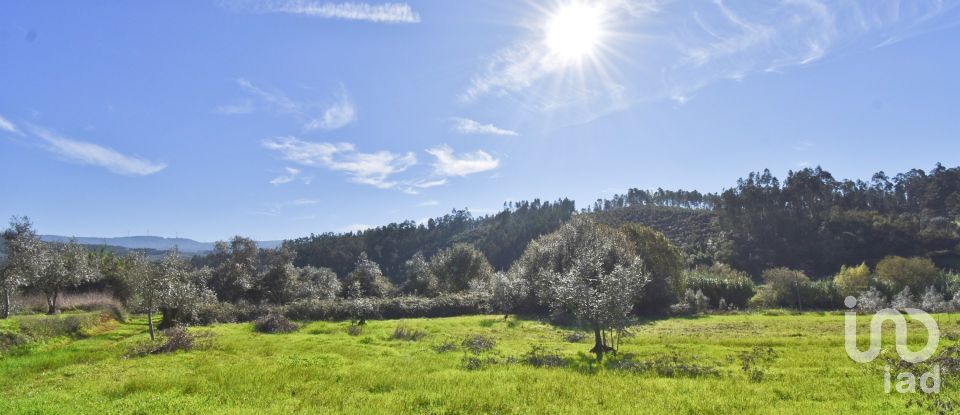 Terreno Agrícola em Podentes de 3 596 m²