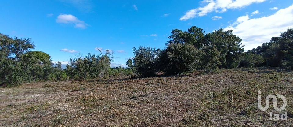 Terreno em Sesimbra (Castelo) de 5 000 m²