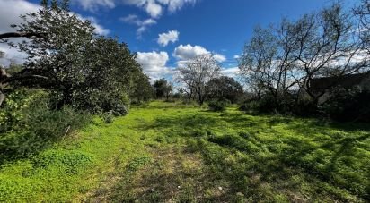 Terrain à bâtir à Loulé (São Clemente) de 1 080 m²