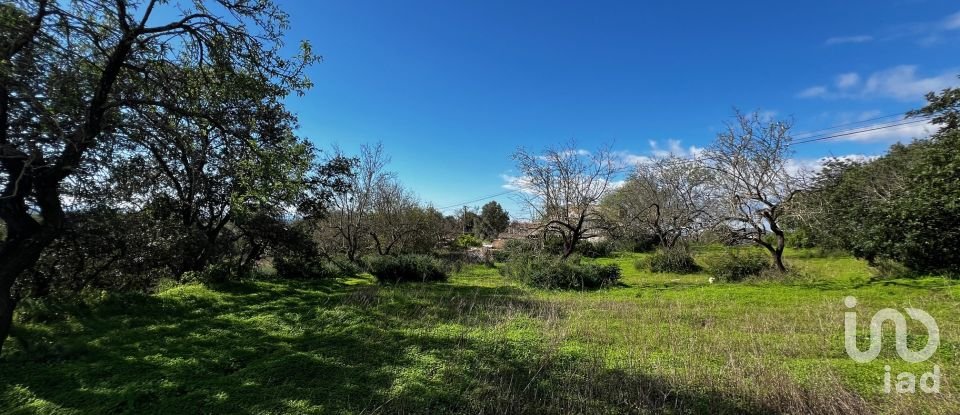 Terreno para construção em Loulé (São Clemente) de 1 080 m²