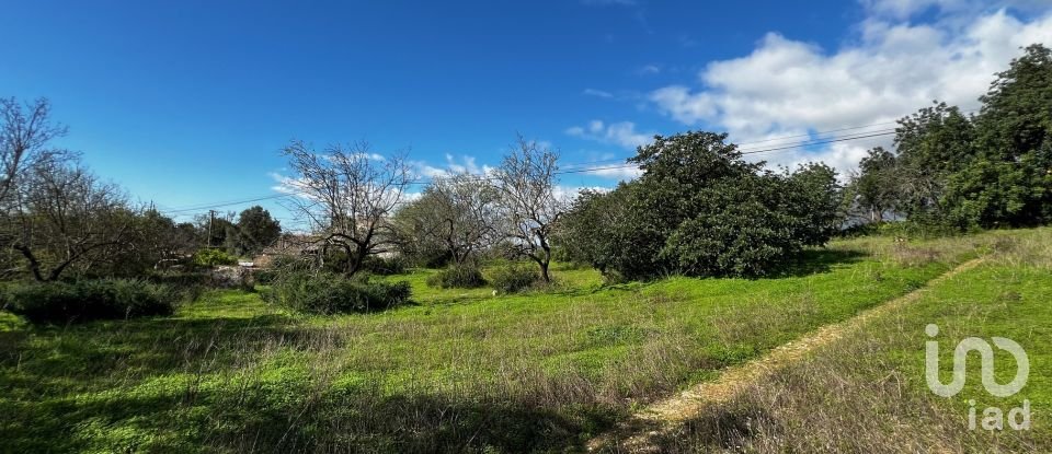 Terreno para construção em Loulé (São Clemente) de 1 080 m²