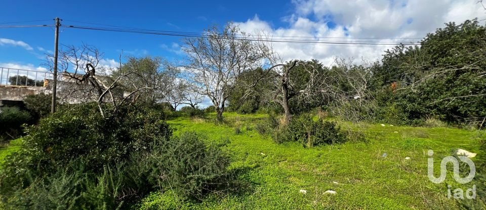 Terreno para construção em Loulé (São Clemente) de 1 080 m²