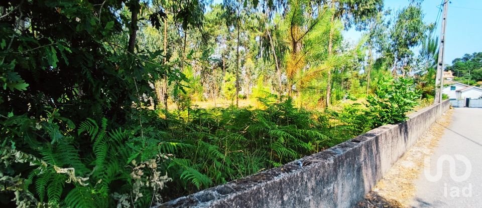 Terreno em Campos e Vila Meã de 1 220 m²