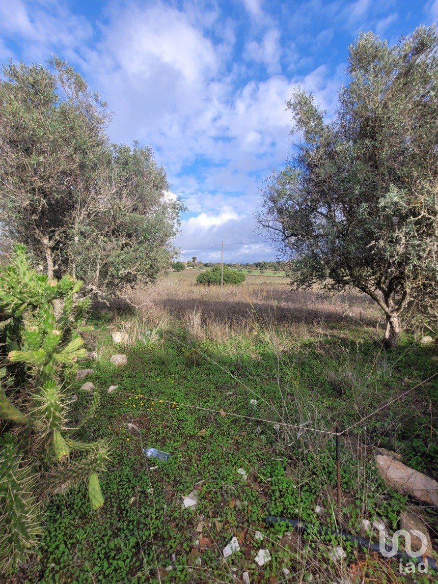 Agricultural land in Lagoa e Carvoeiro of 9,720 m²