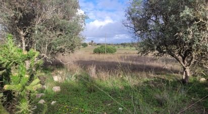 Terreno Agrícola em Lagoa e Carvoeiro de 9 720 m²