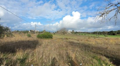 Terreno Agrícola em Lagoa e Carvoeiro de 9 720 m²