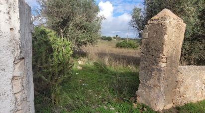 Terreno Agrícola em Lagoa e Carvoeiro de 9 720 m²