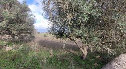 Terreno Agrícola em Lagoa e Carvoeiro de 9 720 m²