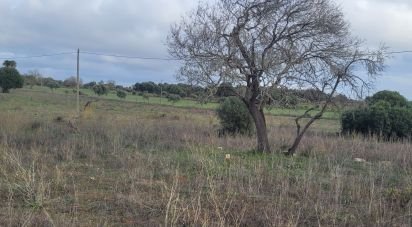 Terreno Agrícola em Lagoa e Carvoeiro de 9 720 m²