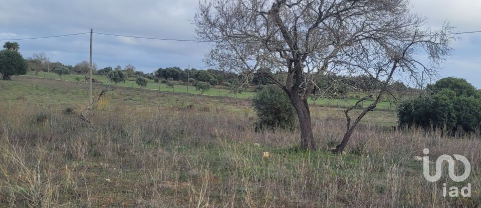 Agricultural land in Lagoa e Carvoeiro of 9,720 m²