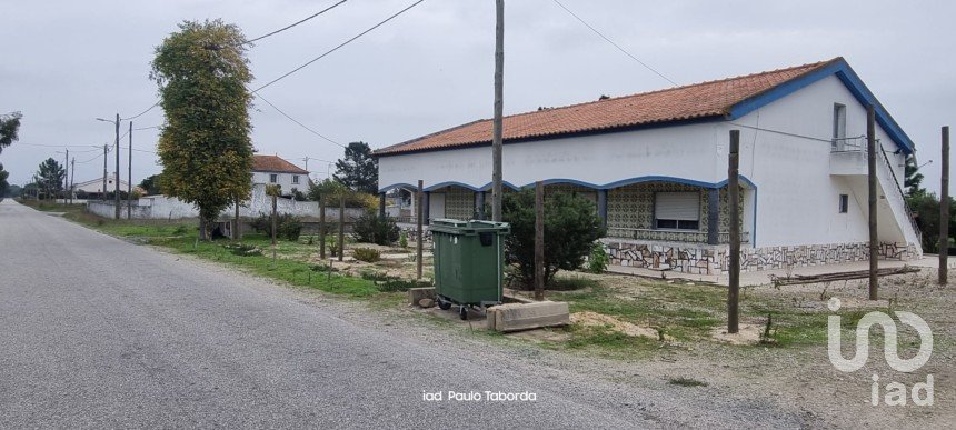 Ferme T4 à Torrão de 231 m²