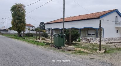 Quinta T4 em Torrão de 231 m²