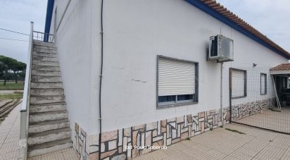 Quinta T4 em Torrão de 231 m²