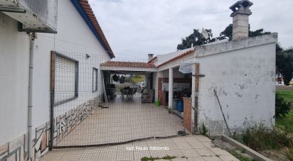 Quinta T4 em Torrão de 231 m²