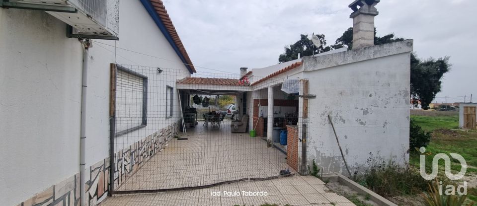 Ferme T4 à Torrão de 231 m²