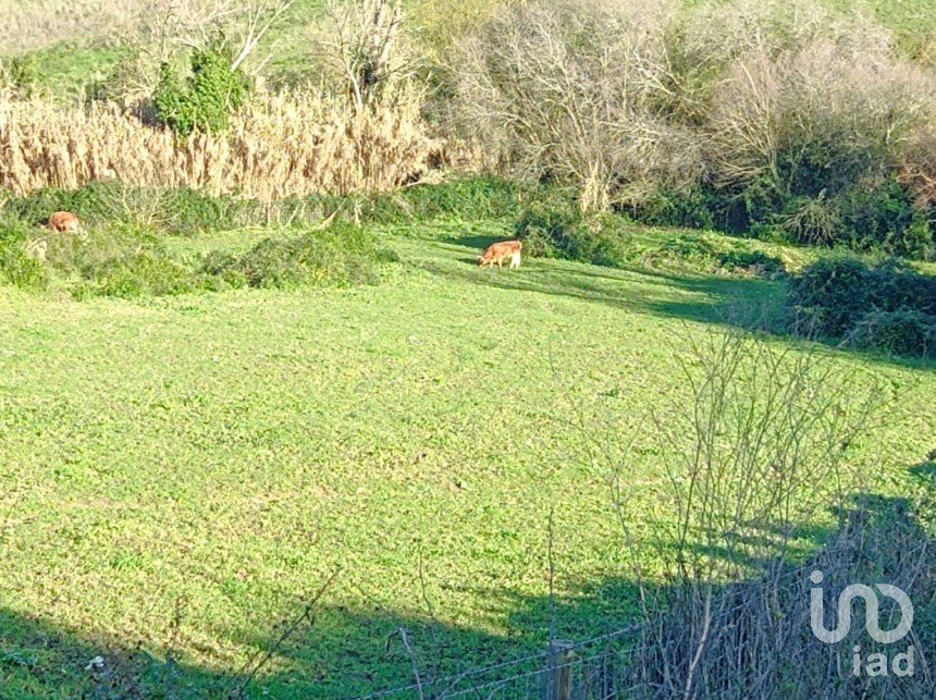 Building land in Arruda dos Vinhos of 6,080 m²