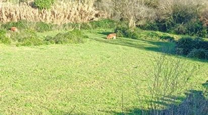 Terreno para construção em Arruda dos Vinhos de 6 080 m²