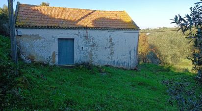 Terreno para construção em Arruda dos Vinhos de 6 080 m²