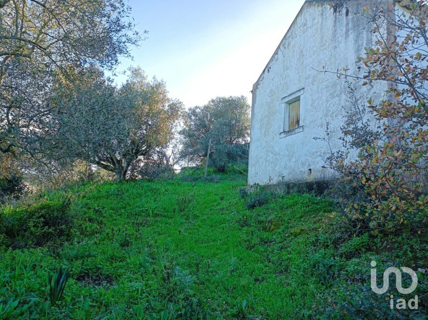 Land in Arruda dos Vinhos of 6,080 m²