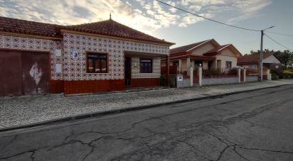 House T3 in Fonte de Angeão e Covão do Lobo of 200 m²