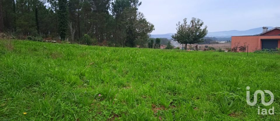 Terrain à Milhazes, Vilar De Figos E Faria de 603 m²