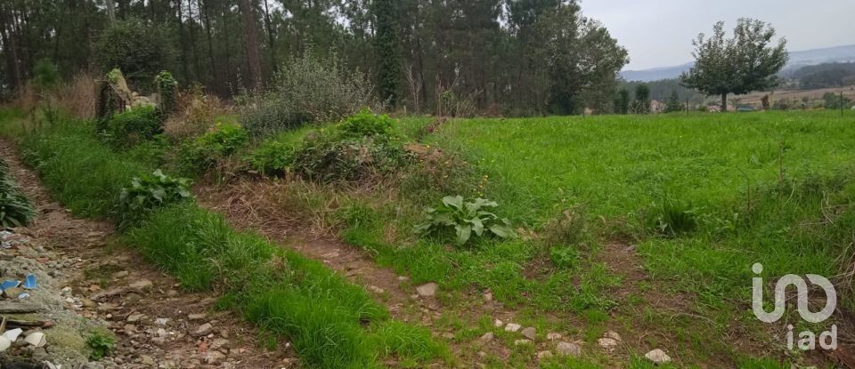 Terrain à Milhazes, Vilar De Figos E Faria de 603 m²